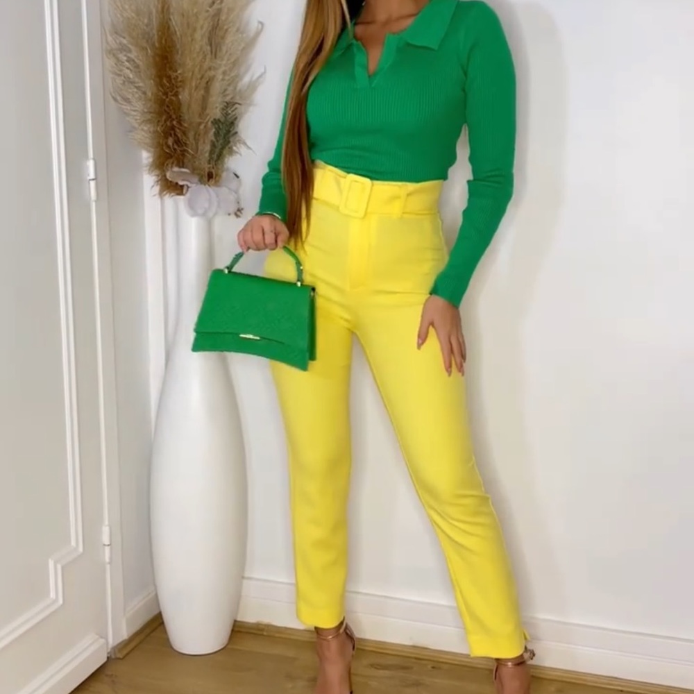 Belted high waisted pants
